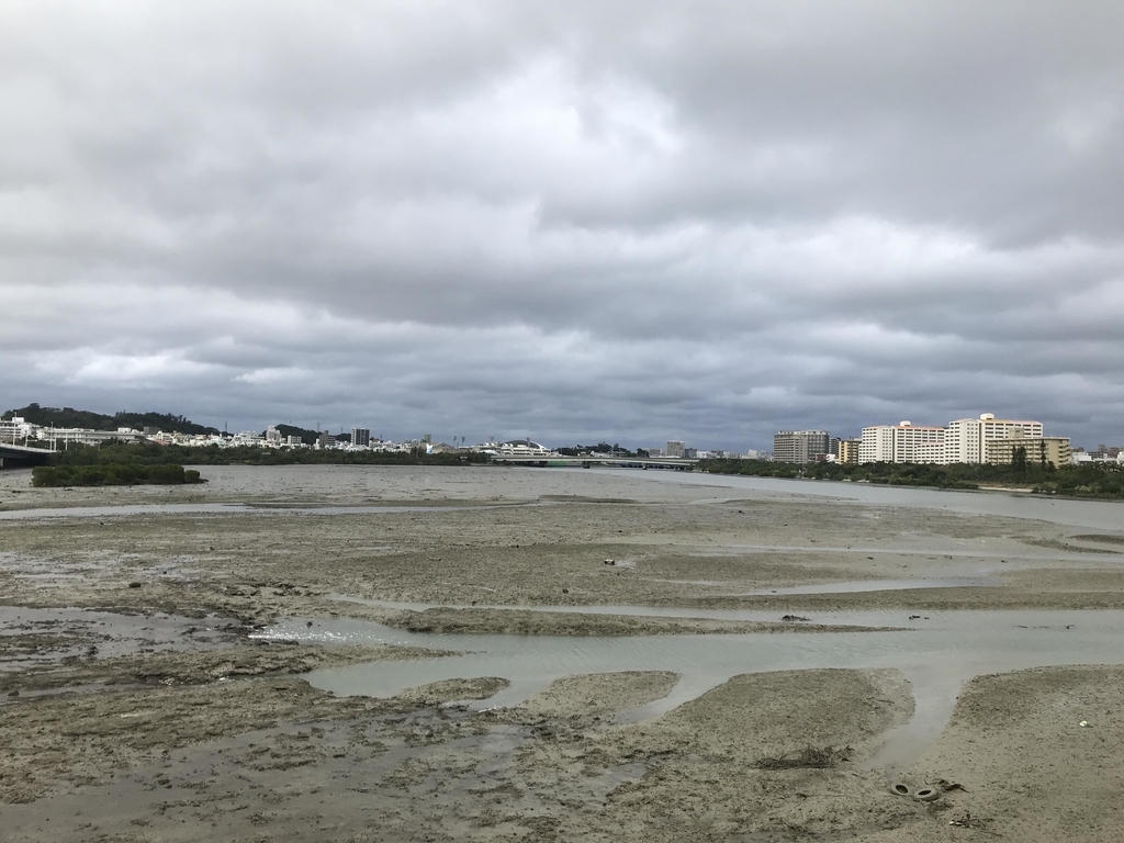 f:id:papix:20190211165341j:plain f:id:papix:20190211165341j:plain