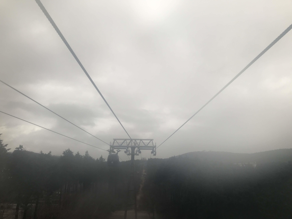 f:id:papix:20190228161601j:plain