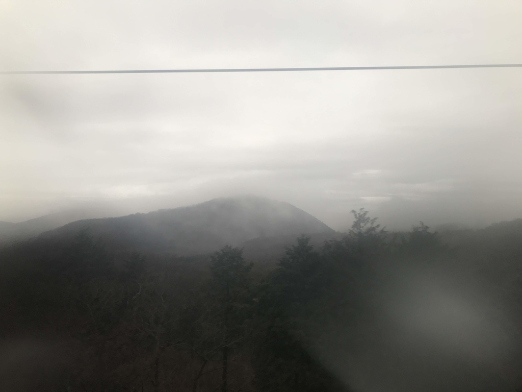 f:id:papix:20190228162604j:plain f:id:papix:20190228162604j:plain