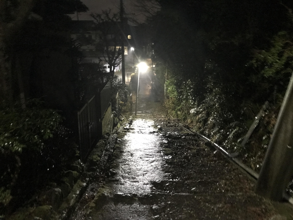 f:id:papix:20190228181507j:plain