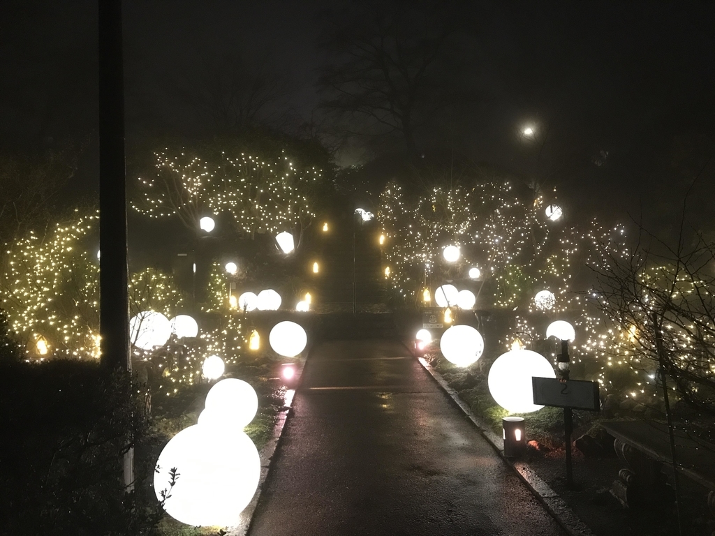 f:id:papix:20190228191240j:plain