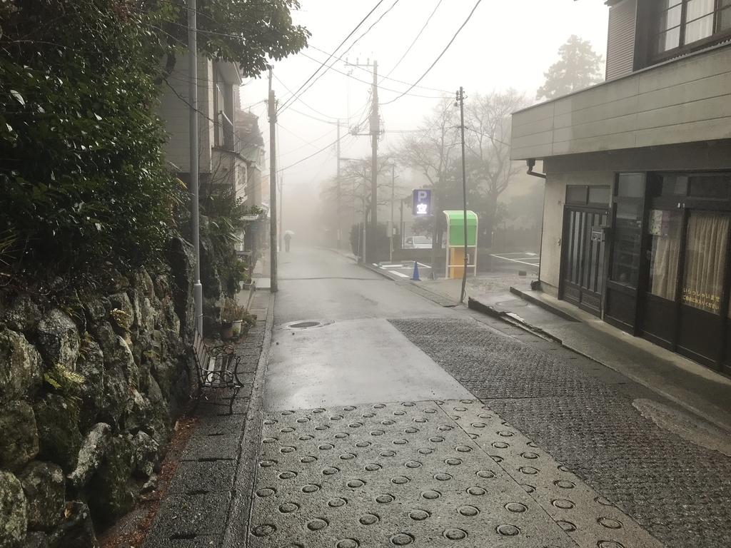 f:id:papix:20190301093626j:plain f:id:papix:20190301093626j:plain