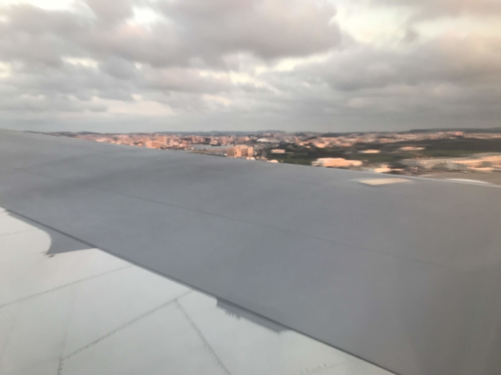 f:id:papix:20190302181738j:plain f:id:papix:20190302181738j:plain