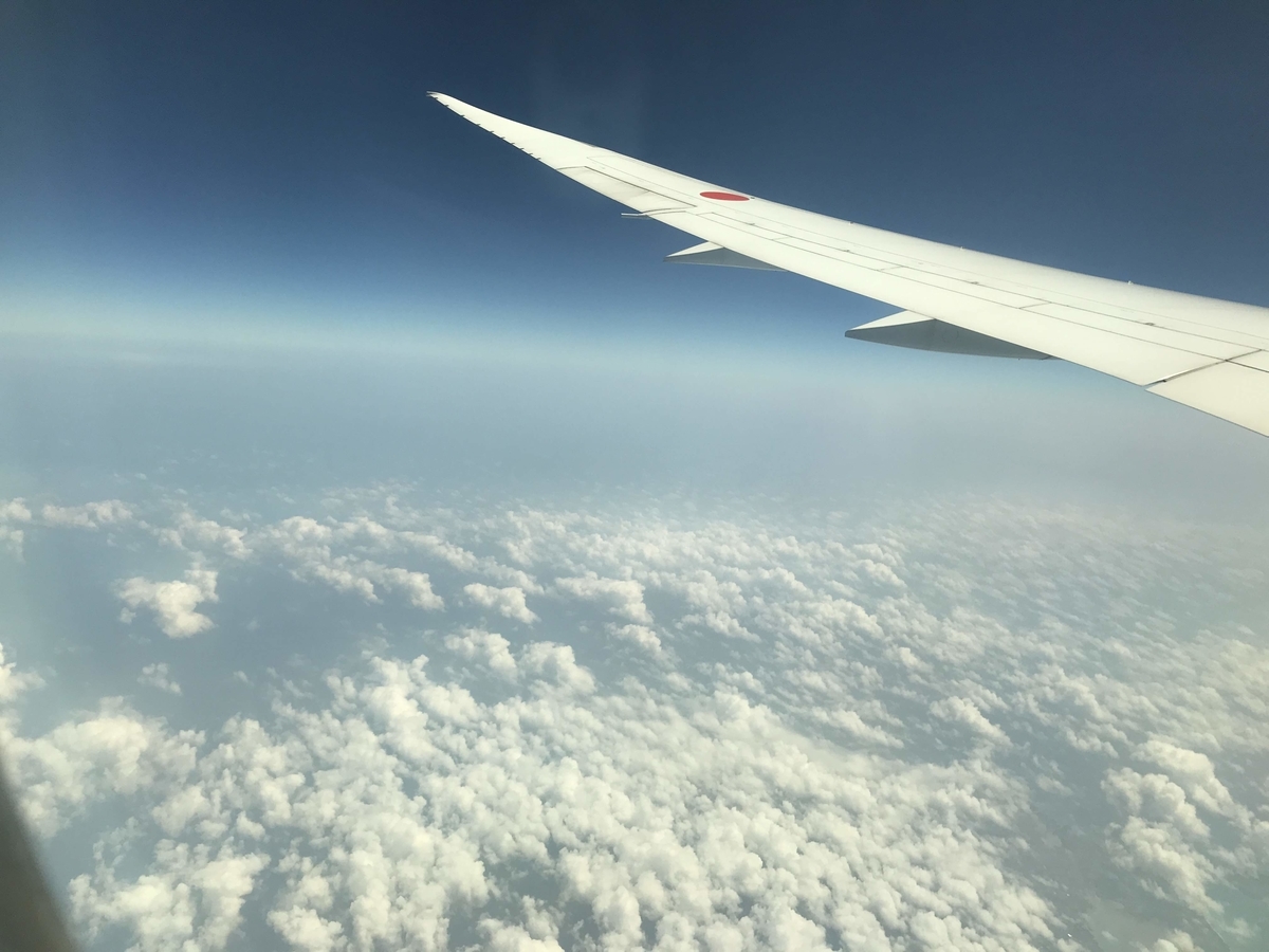 f:id:papix:20190321140134j:plain f:id:papix:20190321140134j:plain
