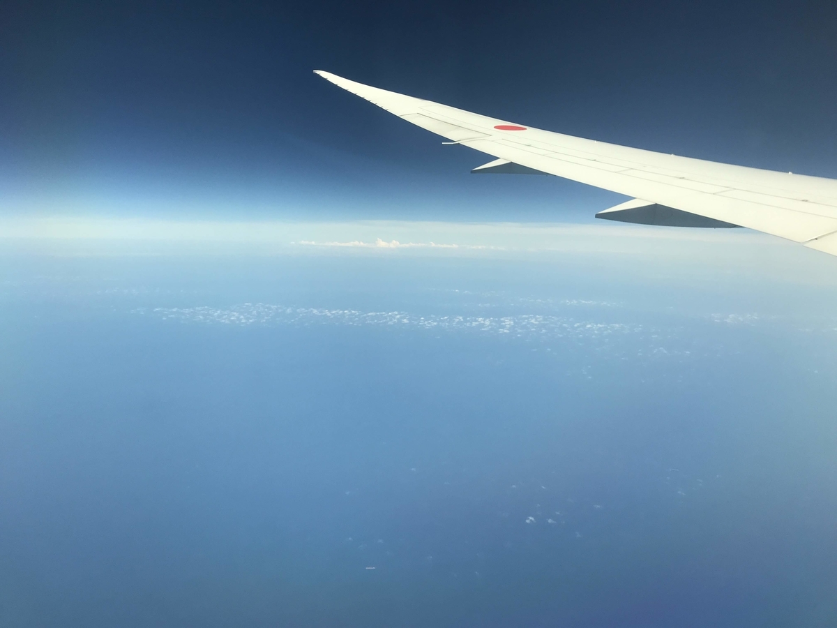 f:id:papix:20190321150215j:plain f:id:papix:20190321150215j:plain