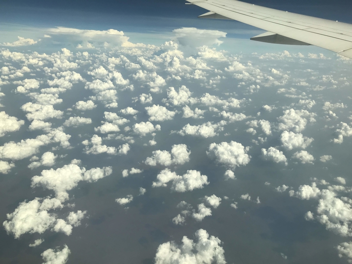 f:id:papix:20190321165132j:plain f:id:papix:20190321165132j:plain