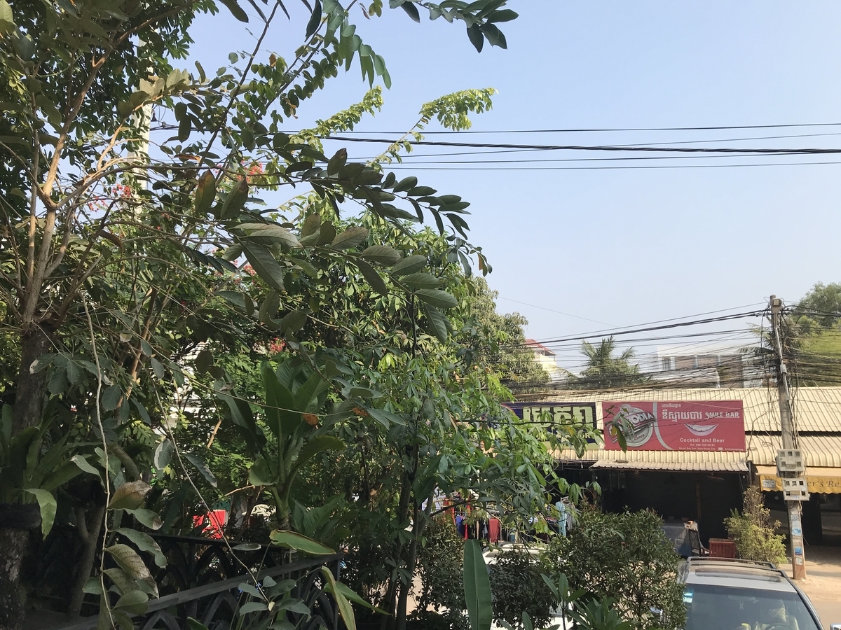 f:id:papix:20190322090922j:plain f:id:papix:20190322090922j:plain