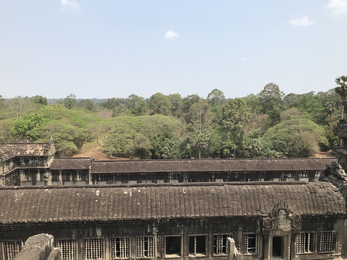 f:id:papix:20190322111724j:plain