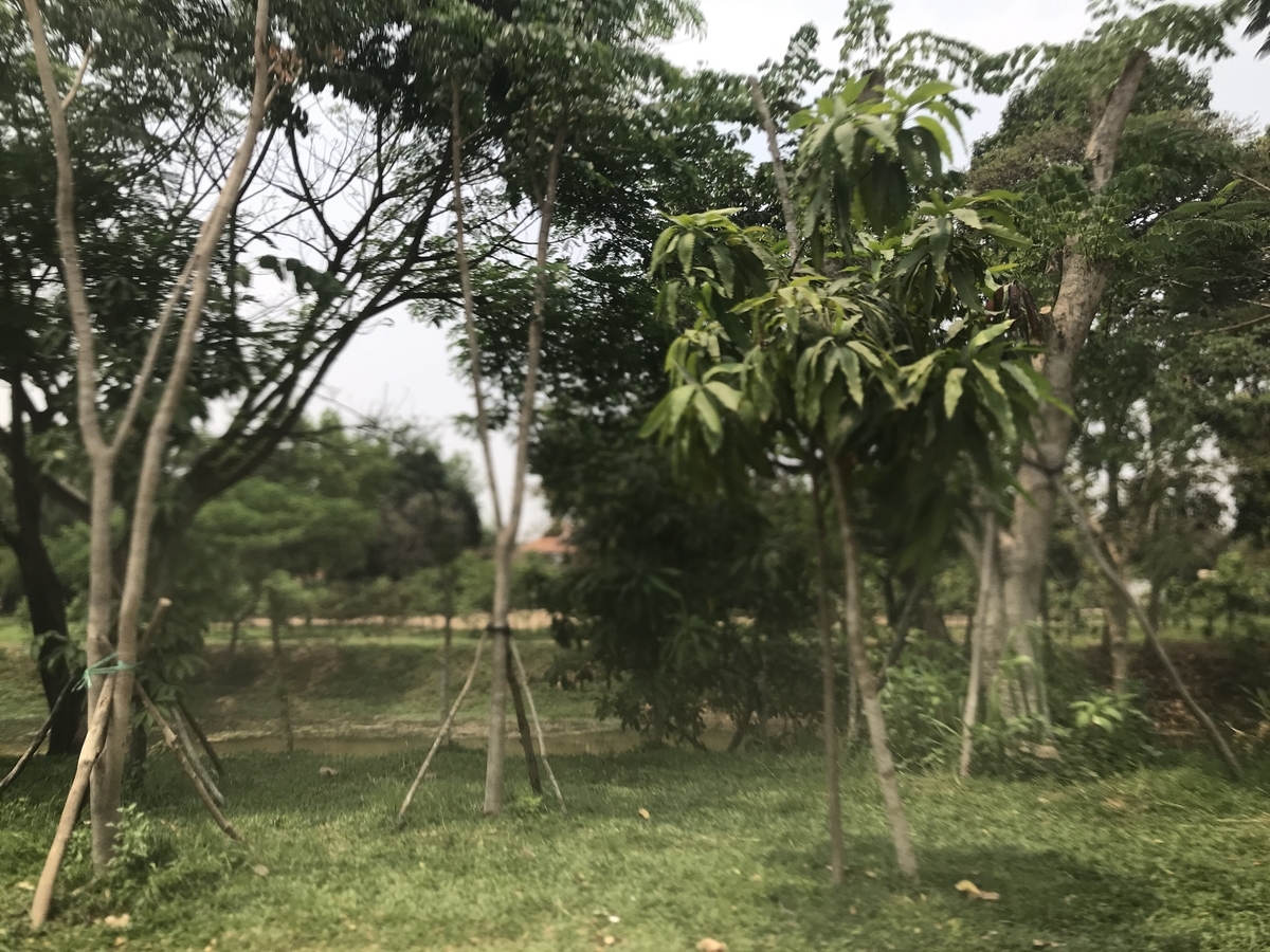 f:id:papix:20190323122111j:plain f:id:papix:20190323122111j:plain