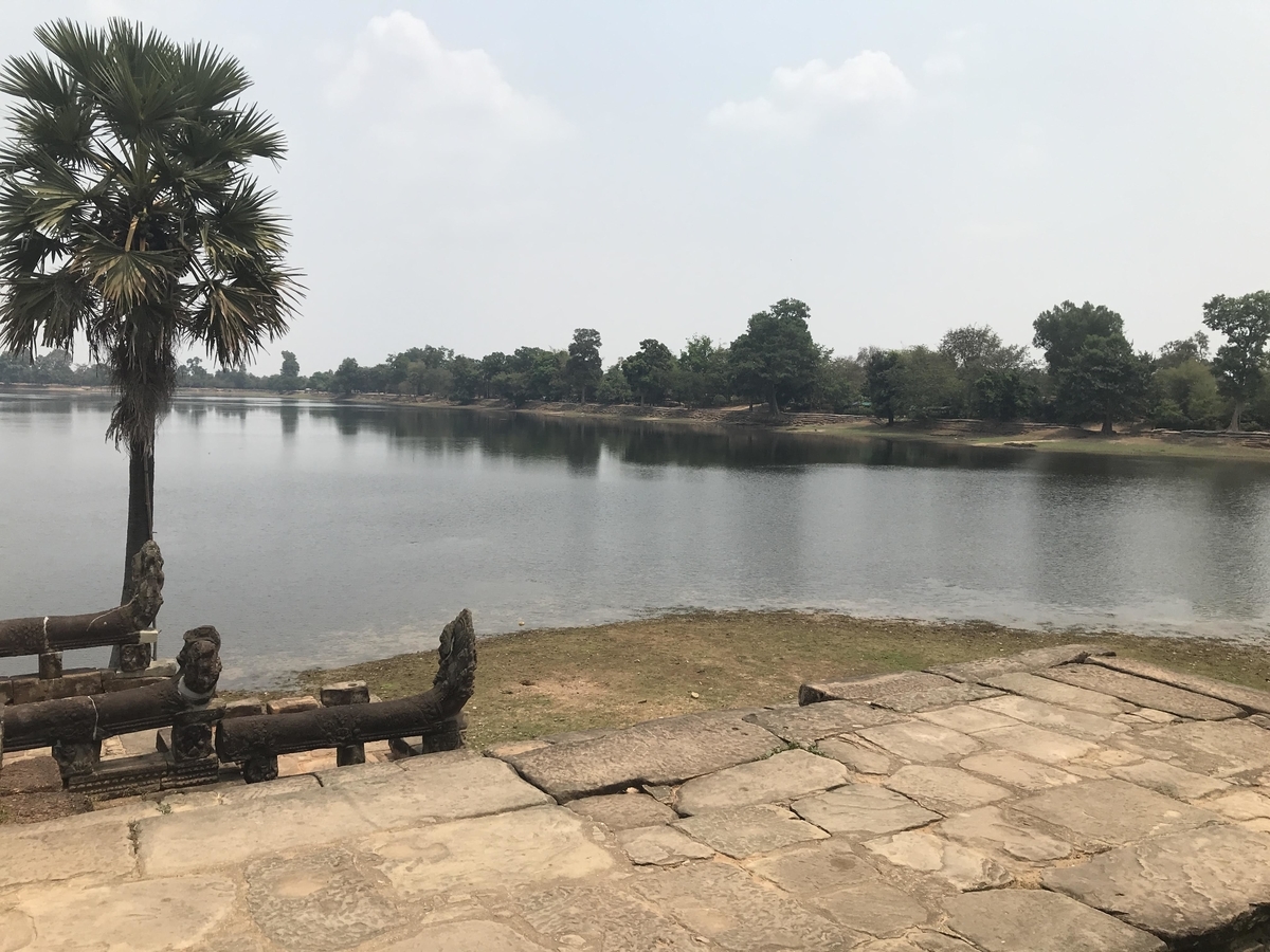 f:id:papix:20190323123857j:plain f:id:papix:20190323123857j:plain