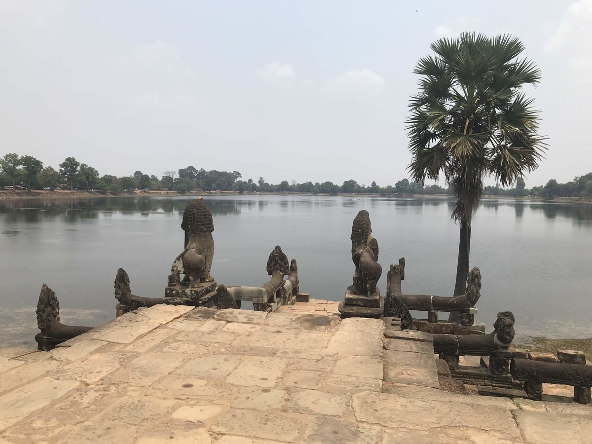 f:id:papix:20190323123903j:plain f:id:papix:20190323123903j:plain