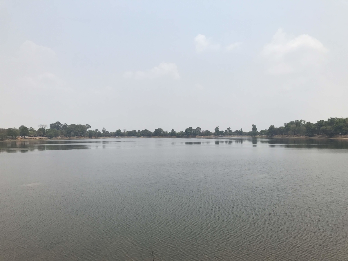 f:id:papix:20190323124110j:plain f:id:papix:20190323124110j:plain