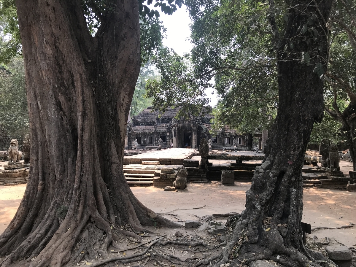 f:id:papix:20190323125750j:plain