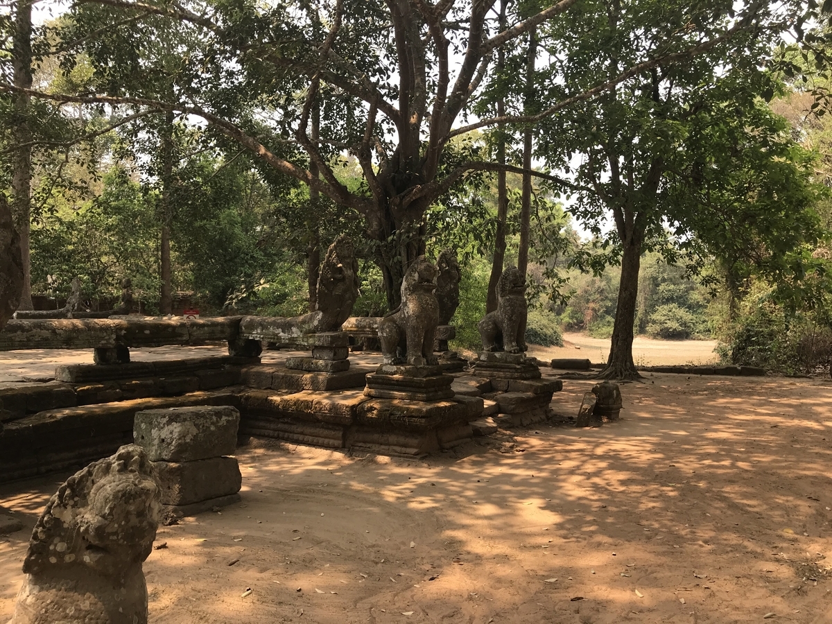 f:id:papix:20190323125821j:plain f:id:papix:20190323125821j:plain