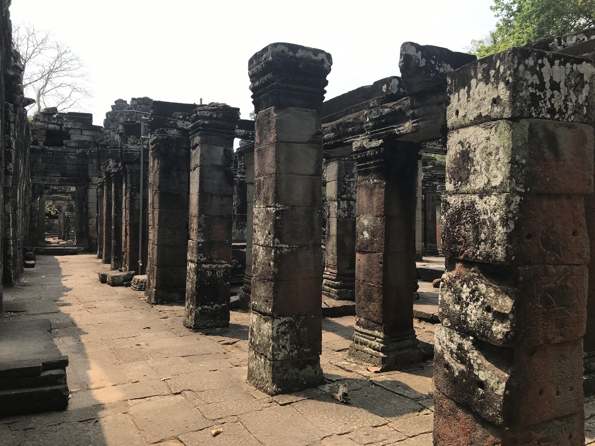 f:id:papix:20190323130530j:plain f:id:papix:20190323130530j:plain