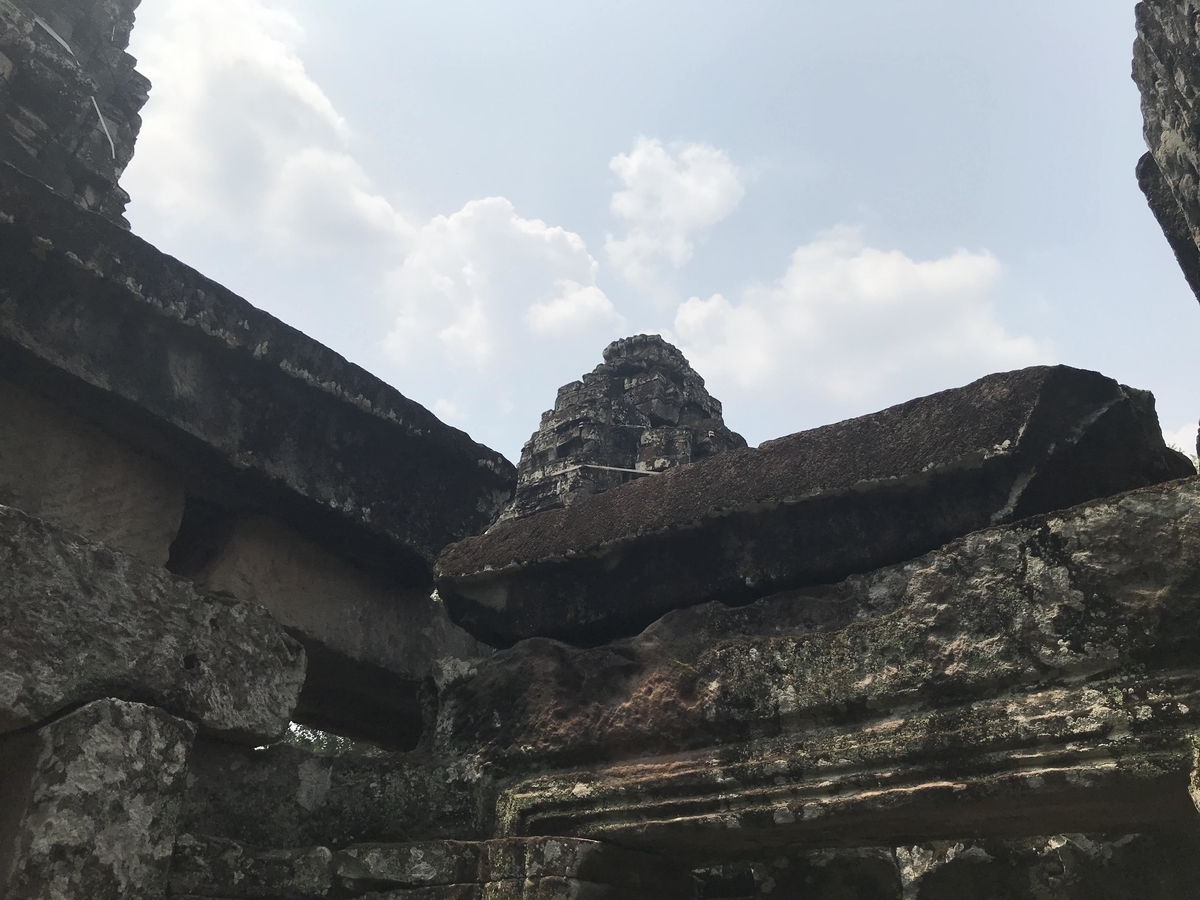 f:id:papix:20190323131026j:plain f:id:papix:20190323131026j:plain