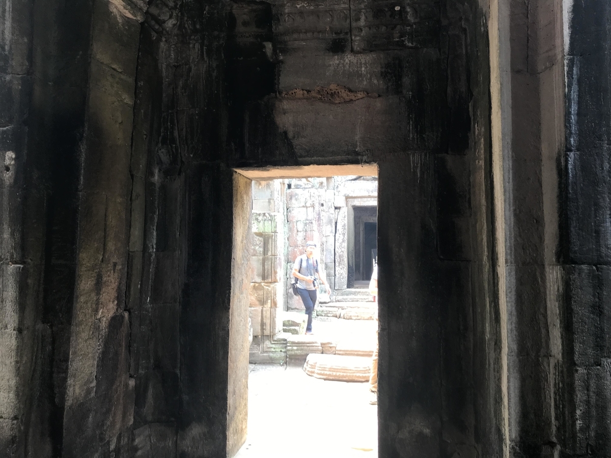 f:id:papix:20190323131220j:plain f:id:papix:20190323131220j:plain
