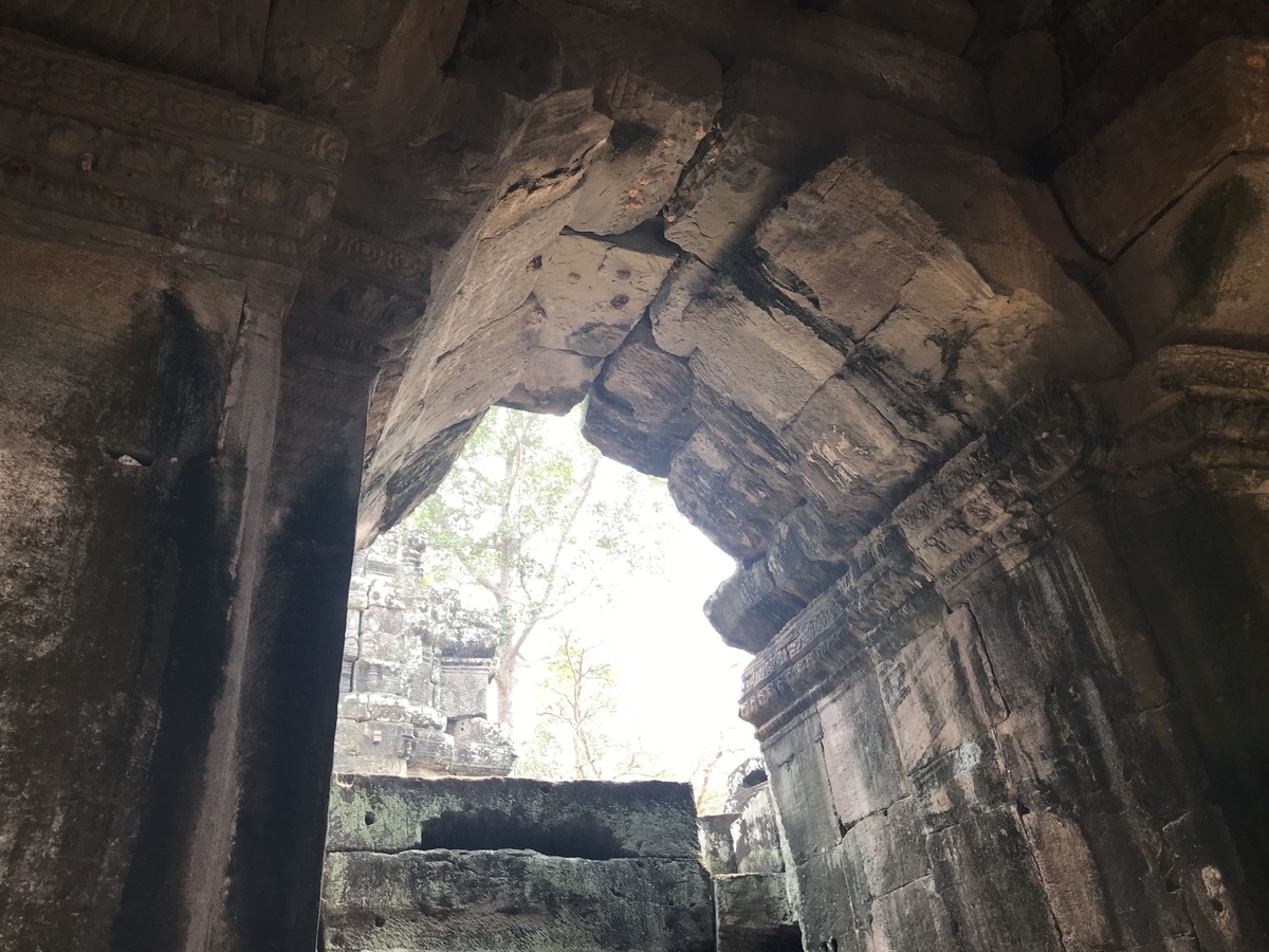 f:id:papix:20190323131231j:plain f:id:papix:20190323131231j:plain