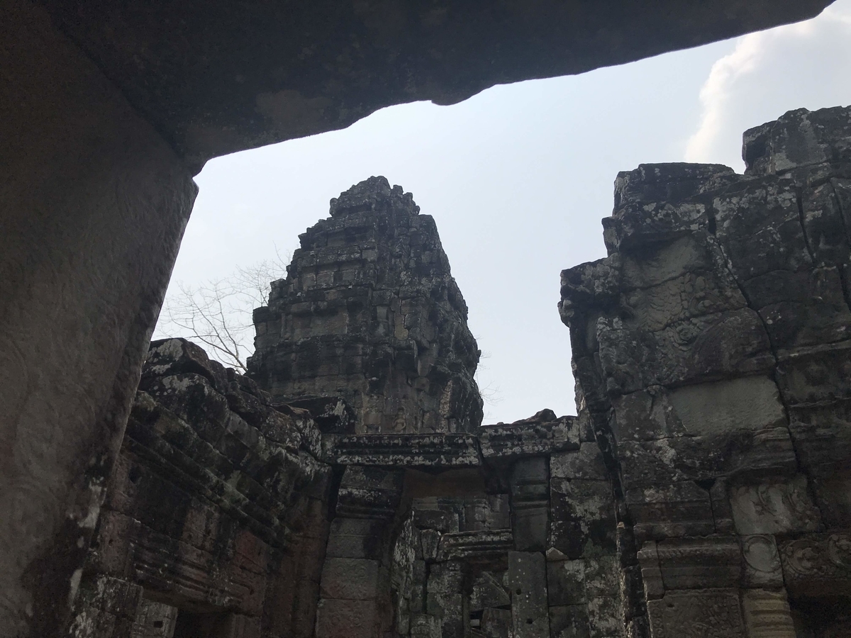 f:id:papix:20190323131319j:plain f:id:papix:20190323131319j:plain