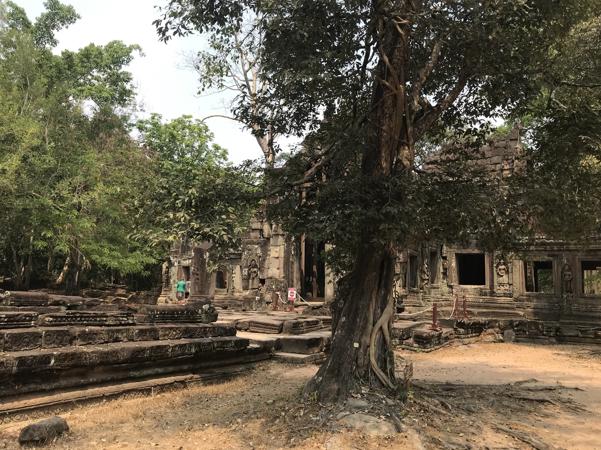 f:id:papix:20190323132523j:plain f:id:papix:20190323132523j:plain