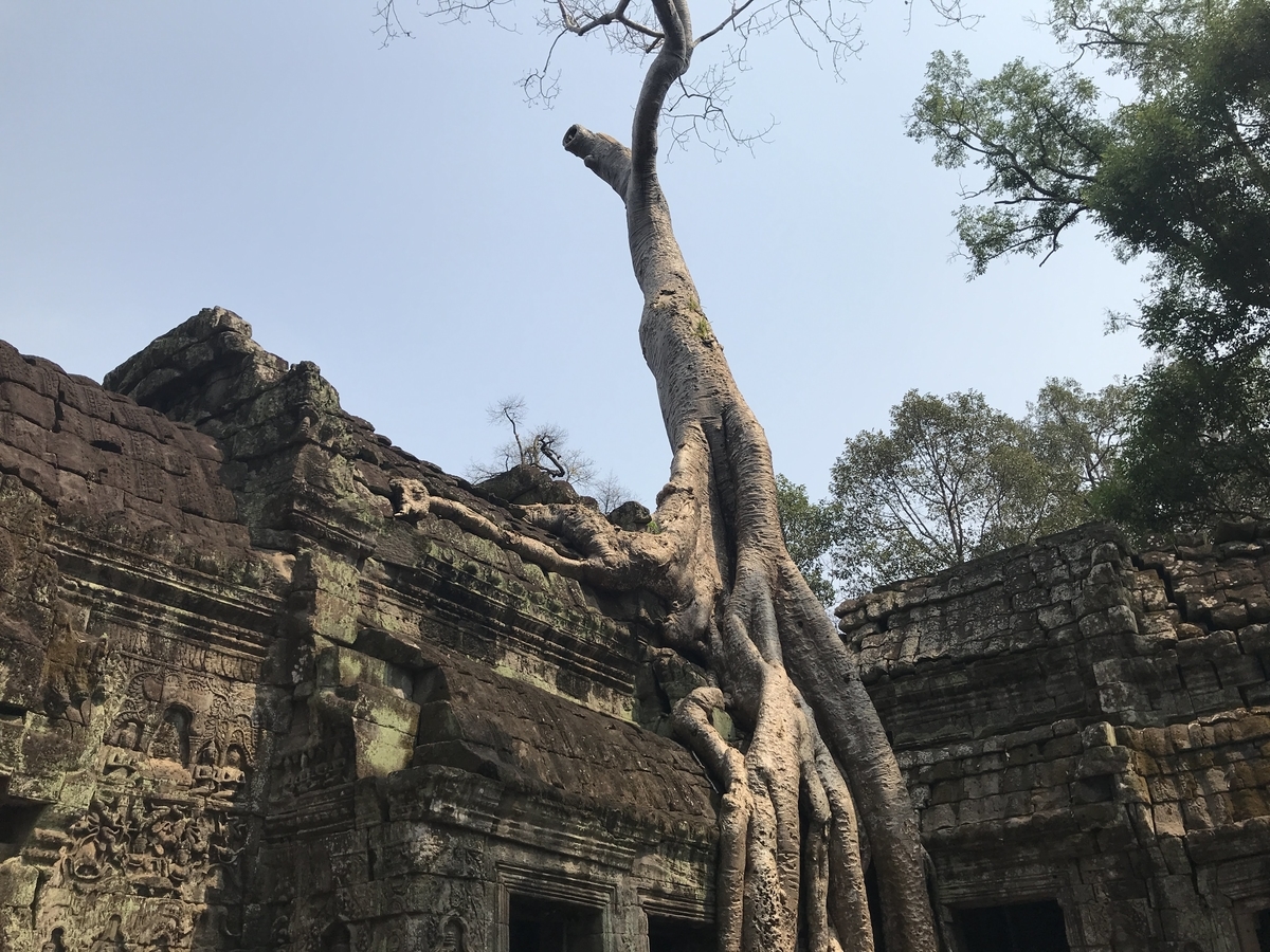 f:id:papix:20190323140516j:plain f:id:papix:20190323140516j:plain