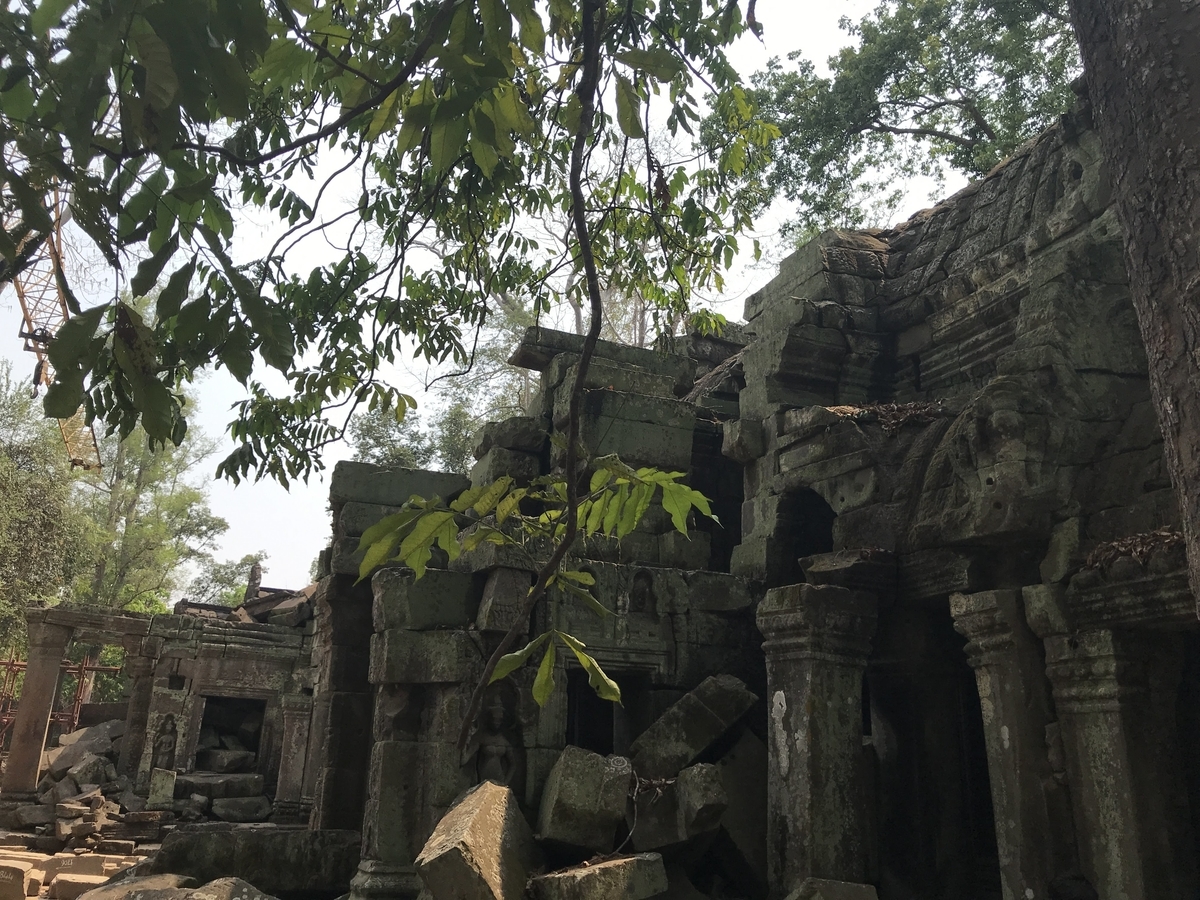 f:id:papix:20190323140816j:plain f:id:papix:20190323140816j:plain