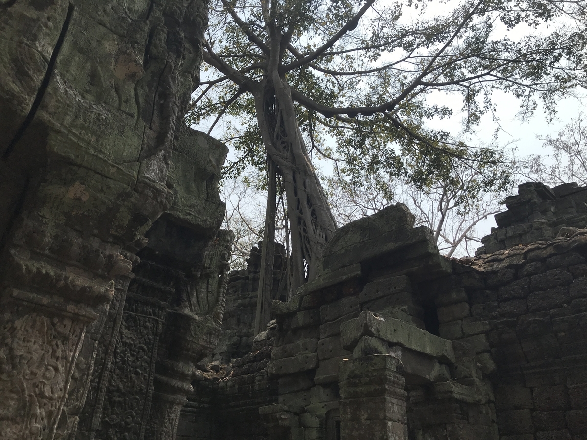 f:id:papix:20190323141247j:plain f:id:papix:20190323141247j:plain