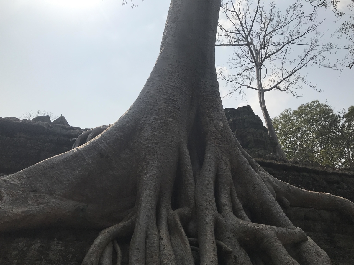f:id:papix:20190323142111j:plain