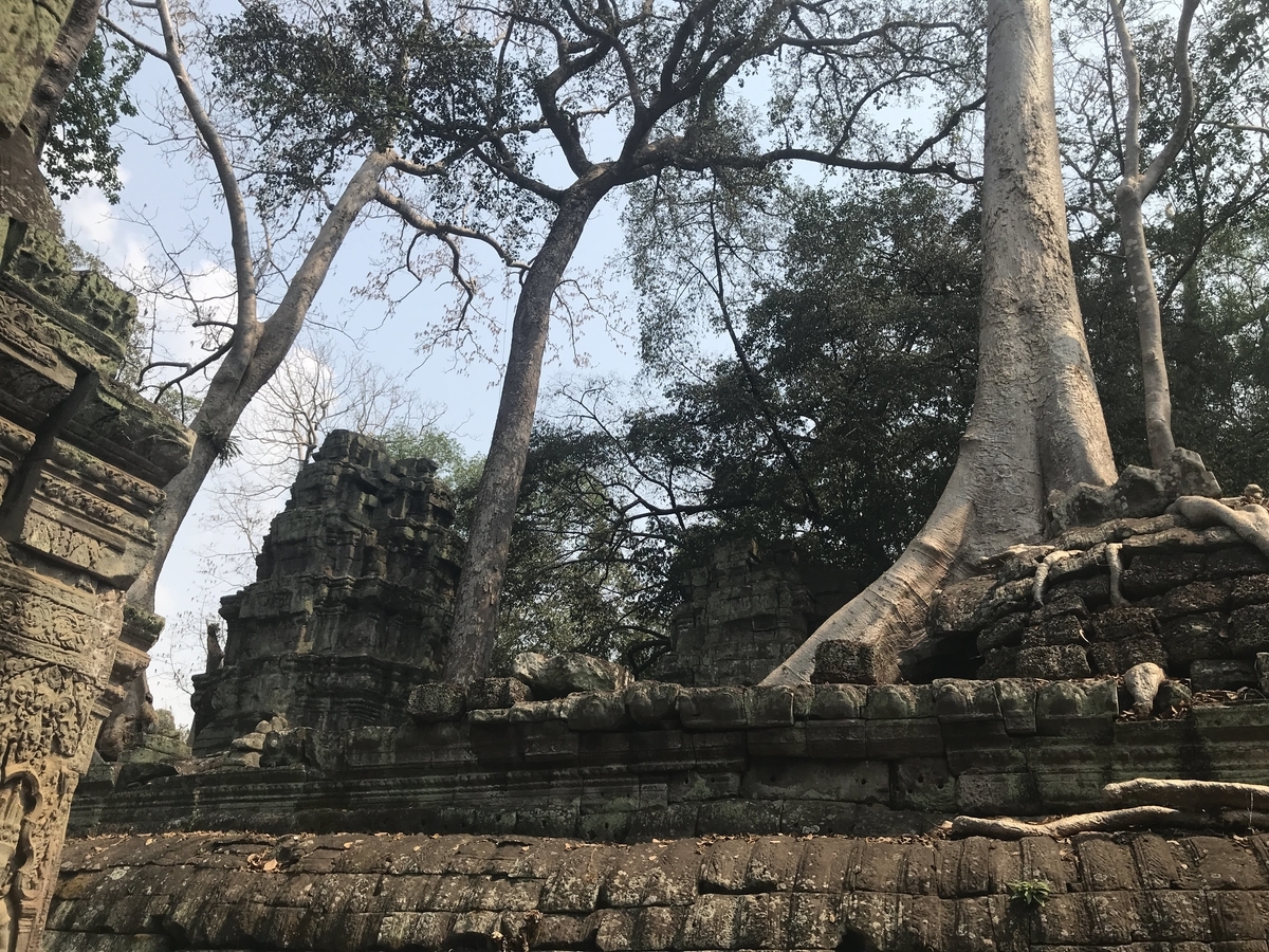 f:id:papix:20190323142127j:plain f:id:papix:20190323142127j:plain