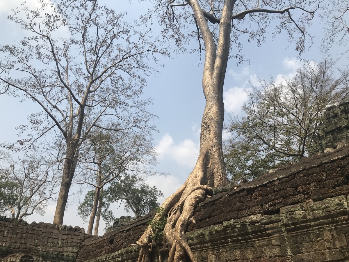 f:id:papix:20190323142204j:plain f:id:papix:20190323142204j:plain