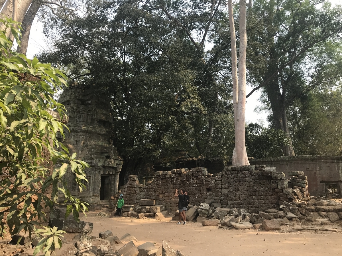 f:id:papix:20190323142208j:plain f:id:papix:20190323142208j:plain