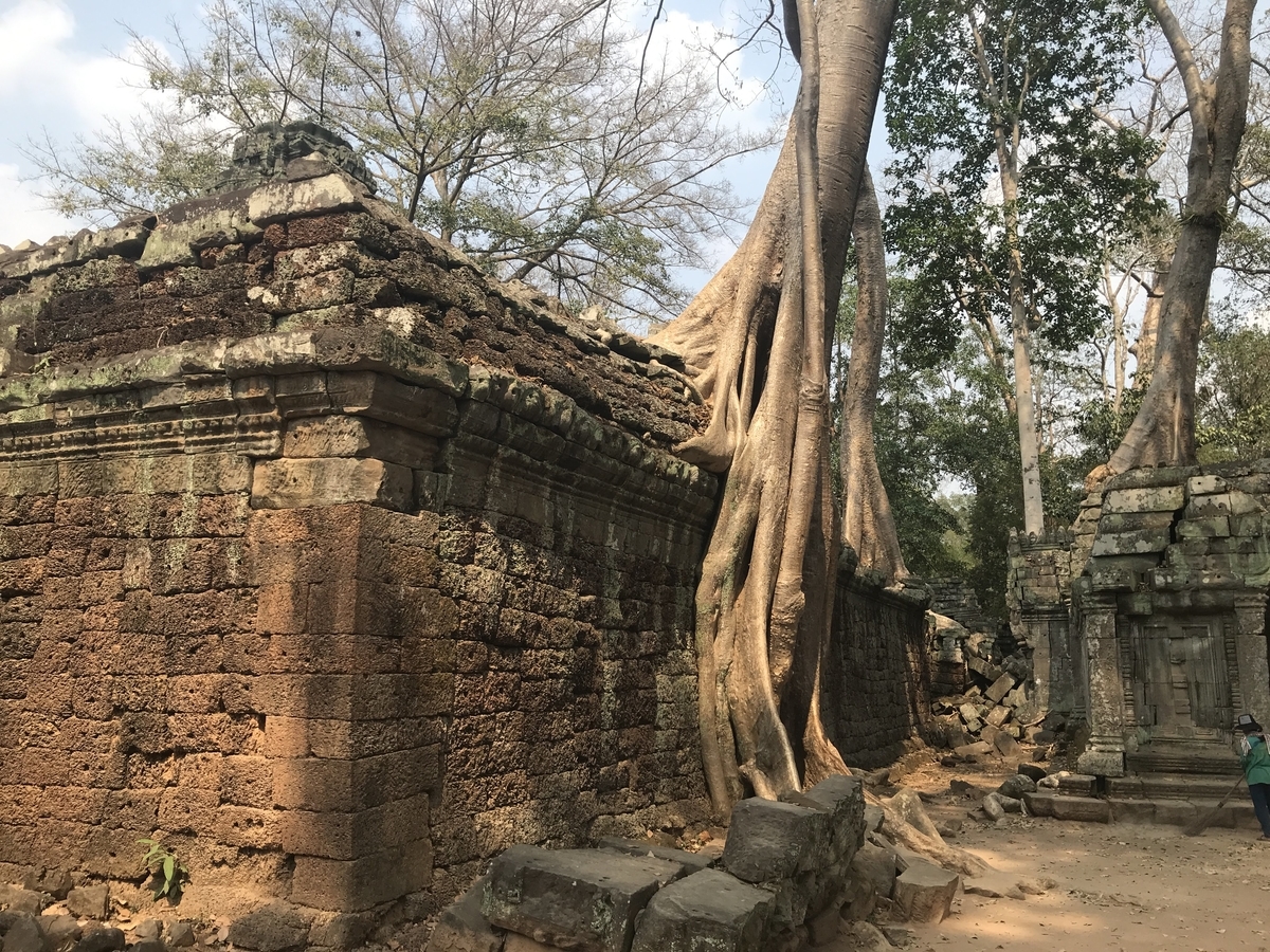 f:id:papix:20190323142228j:plain f:id:papix:20190323142228j:plain
