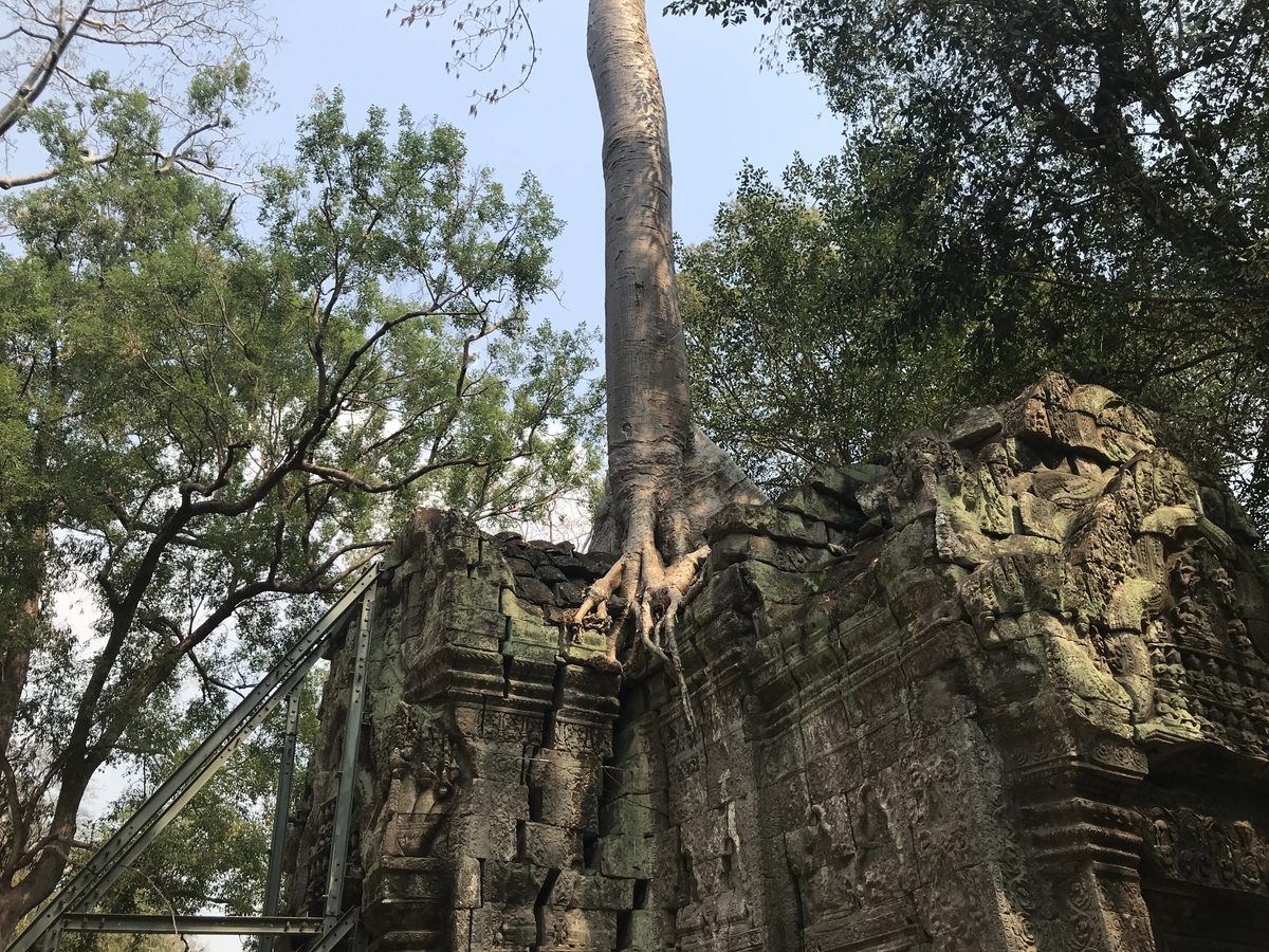 f:id:papix:20190323144242j:plain f:id:papix:20190323144242j:plain