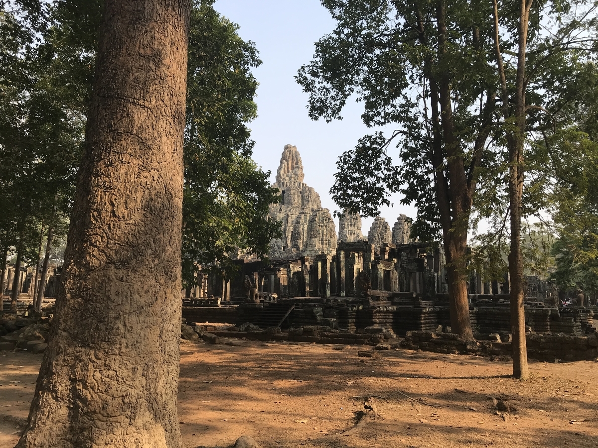 f:id:papix:20190323155044j:plain f:id:papix:20190323155044j:plain
