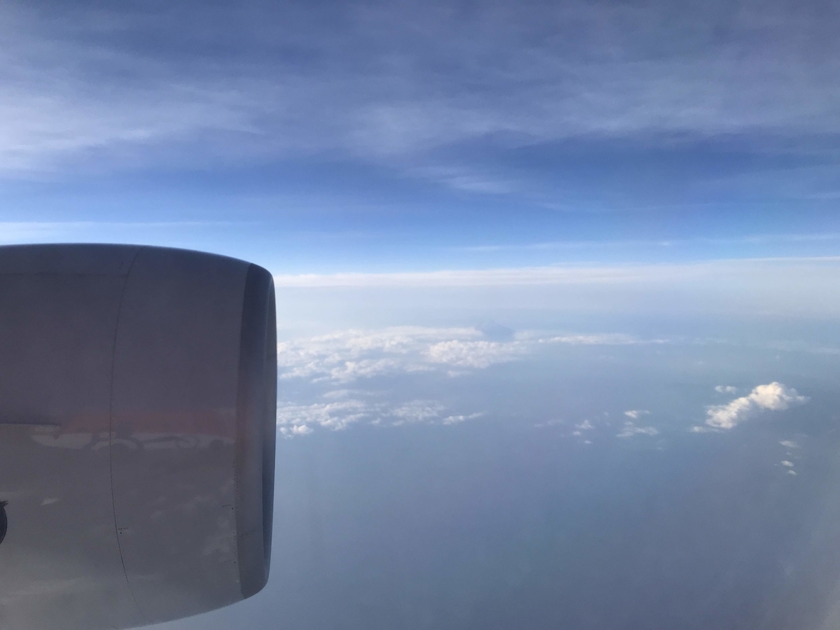 f:id:papix:20190519175153j:plain f:id:papix:20190519175153j:plain