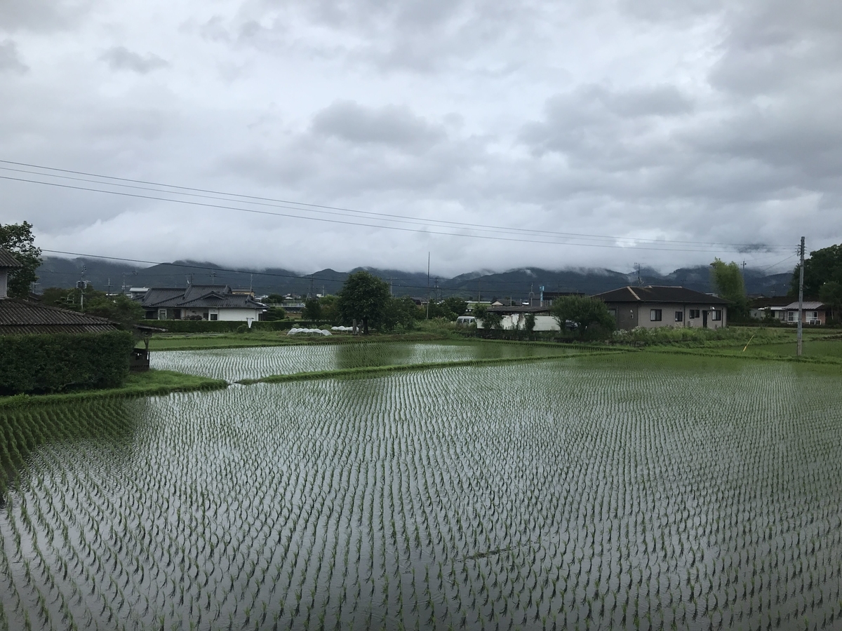 f:id:papix:20190615134907j:plain f:id:papix:20190615134907j:plain