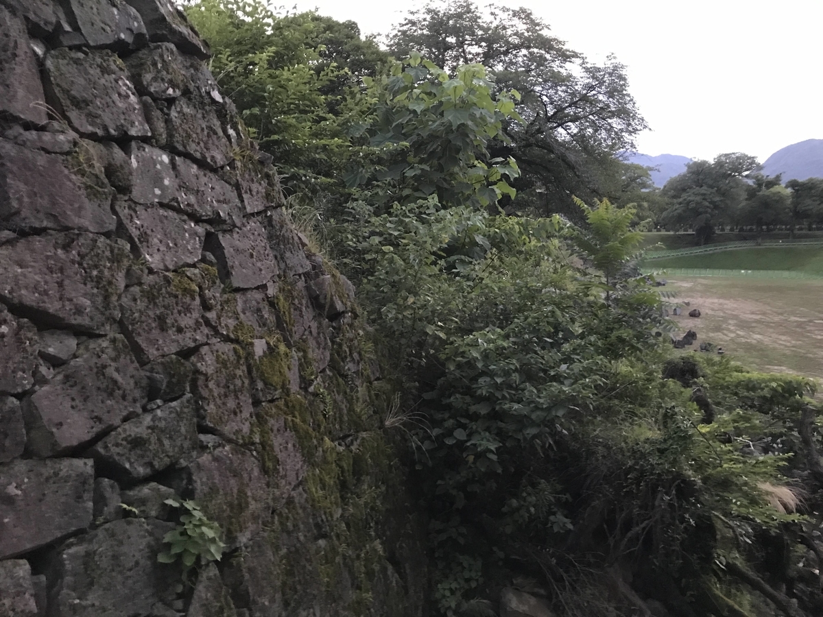 f:id:papix:20190615193804j:plain f:id:papix:20190615193804j:plain