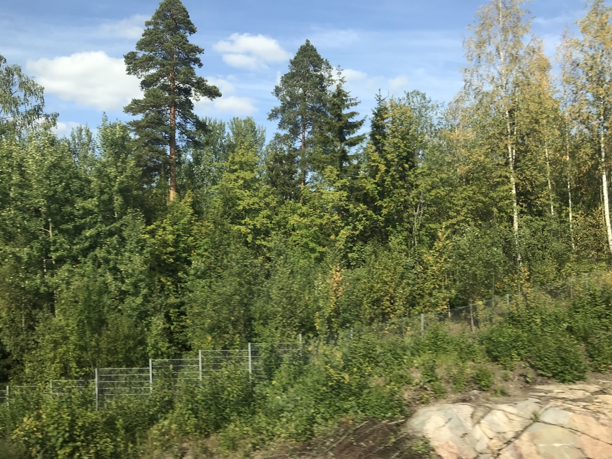 f:id:papix:20190804160926j:plain f:id:papix:20190804160926j:plain