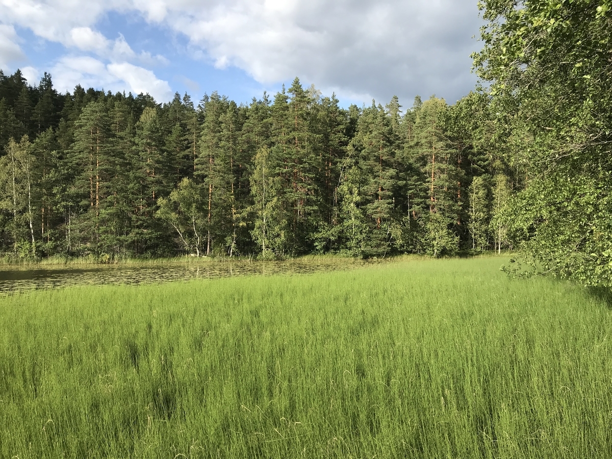 f:id:papix:20190805182849j:plain f:id:papix:20190805182849j:plain