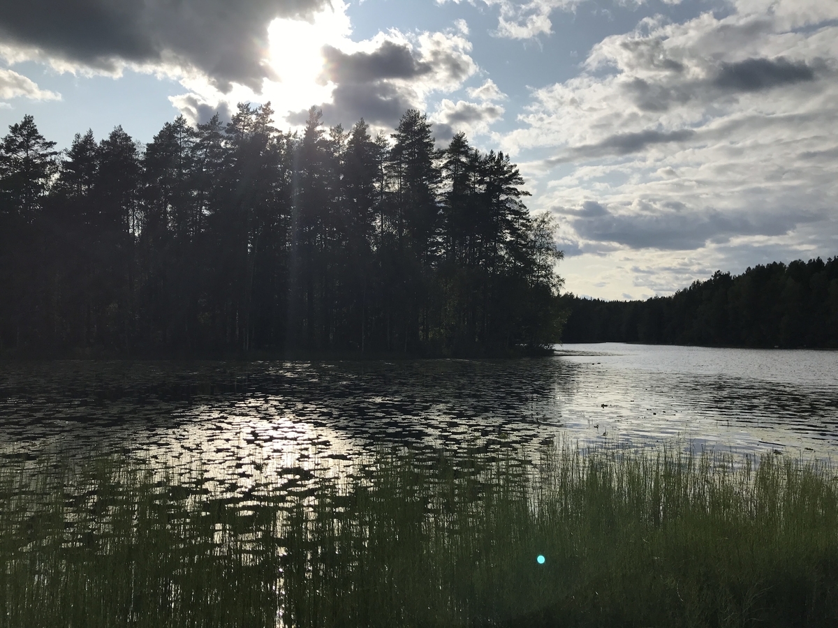 f:id:papix:20190805182852j:plain f:id:papix:20190805182852j:plain
