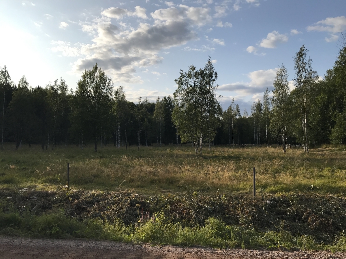 f:id:papix:20190805193635j:plain f:id:papix:20190805193635j:plain