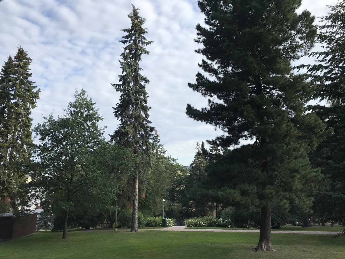 f:id:papix:20190806081937j:plain f:id:papix:20190806081937j:plain