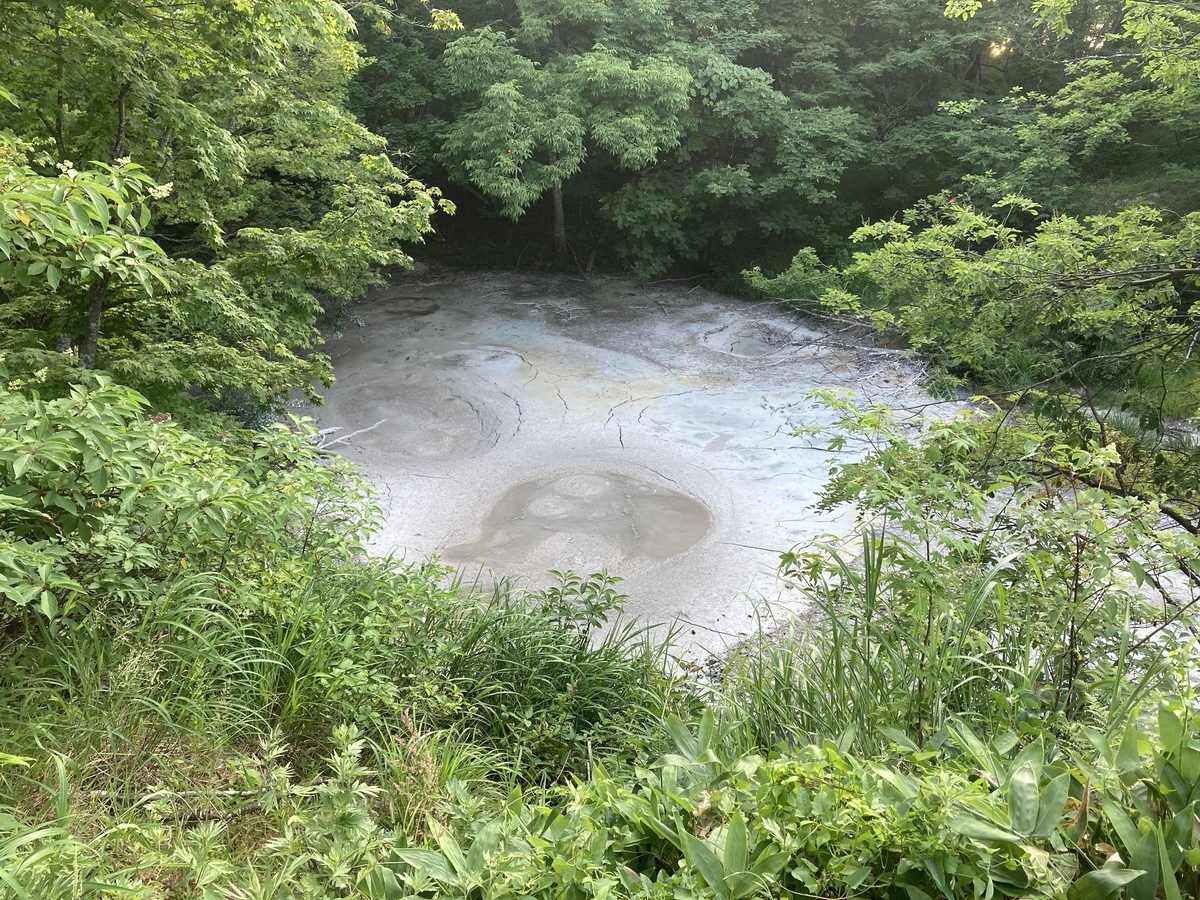 f:id:papix:20210718175715j:plain