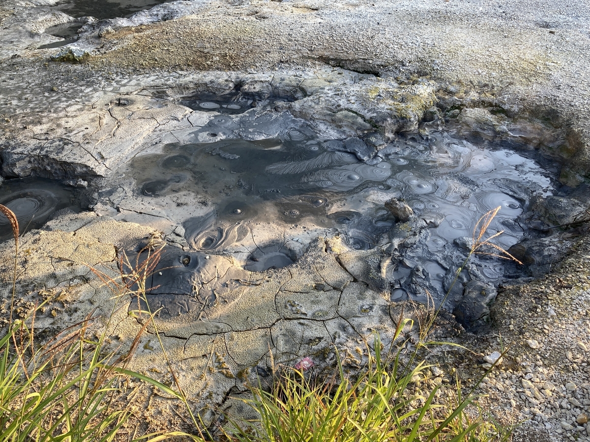 f:id:papix:20210718180201j:plain