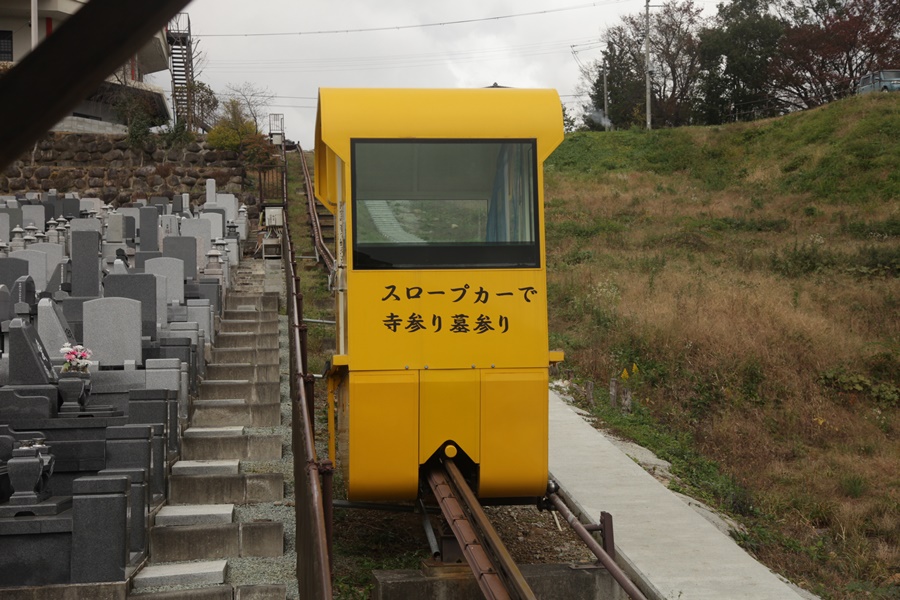 観光 ナムナム号に乗って愛子大仏に寺参り墓参り 知識の塵の中に蟄居していても宇宙の秘密を知悉することはできない 観光 ナムナム号に乗って愛子大仏に寺参り墓参り 知識の塵の中に蟄居していても宇宙の秘密を知悉することはできない