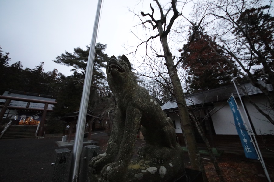 f:id:papurutentakuru:20191230160018j:plain f:id:papurutentakuru:20191230160018j:plain