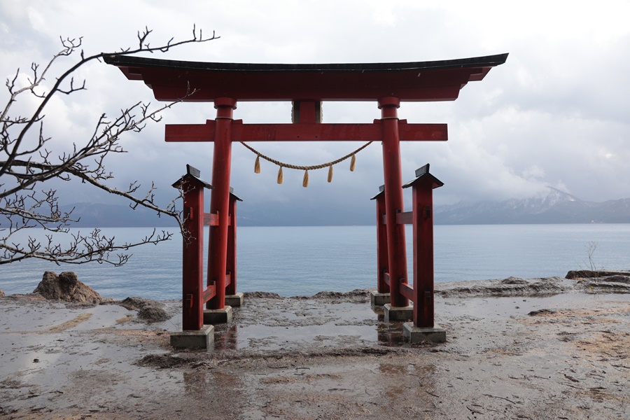 f:id:papurutentakuru:20200321140645j:plain
