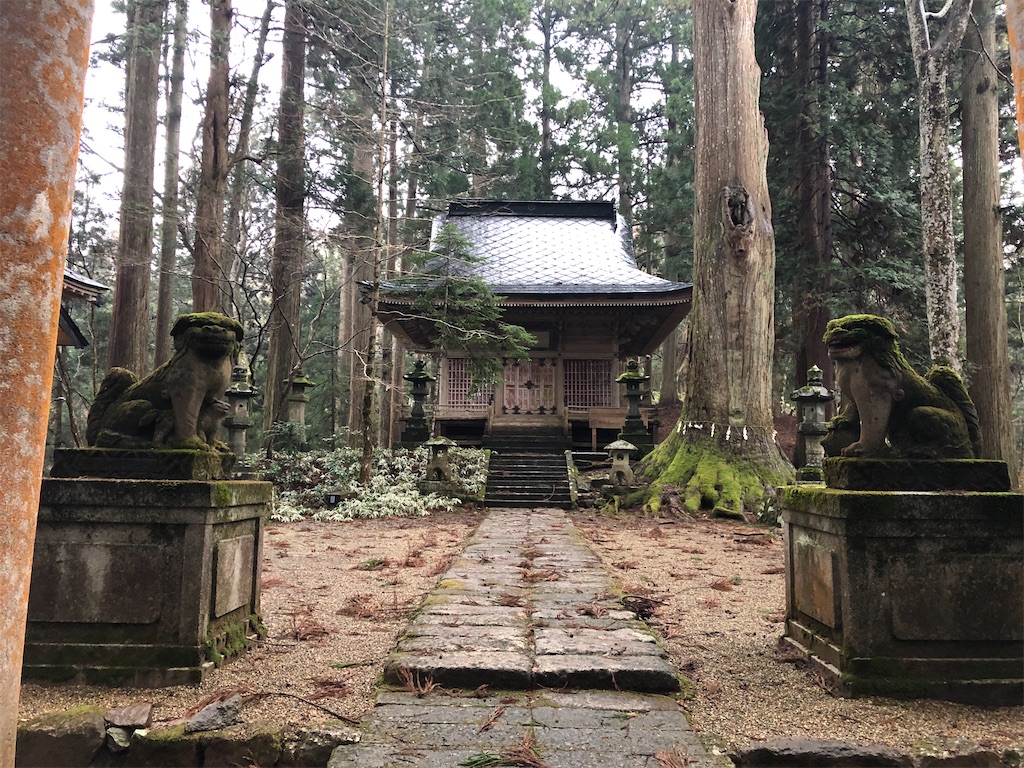 f:id:papurutentakuru:20200321233736j:image