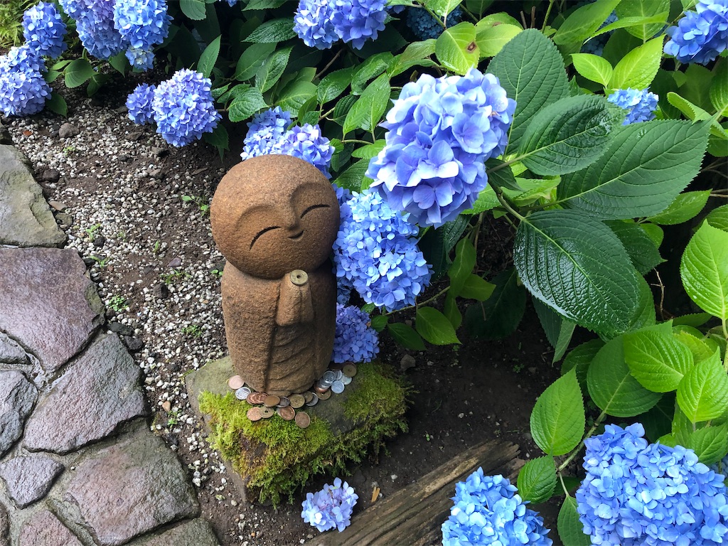 【絶景】秋田県男鹿市のアジサイ寺に行く - 知識の塵の中に蟄居していても宇宙の秘密を知悉することはできない Best car polish for hand application