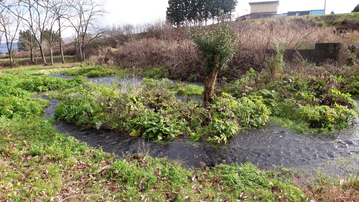 f:id:papurutentakuru:20211201132756j:plain